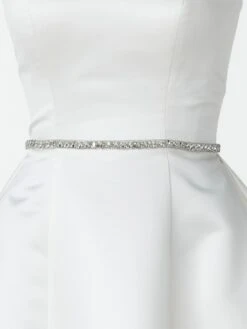 Riempje Poirier 1523 -Poirier 1523 riem 2