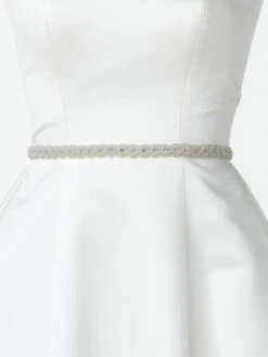 Riempje Poirier 1529 -Poirier 1529 riem2