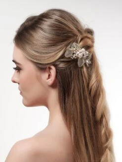 Poirier Haaraccessoire Strass BB-263