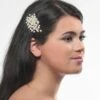 Poirier Haaraccessoire Strass BB-248 1 Poirier Haaraccessoire Strass BB-248 -Poirier bb 248 002 bb 2489 002 02nv1