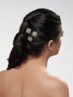 Haarkam BB-277 Poirier