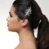 Poirier Haarsieraad Met Strass BB-280 2 Poirier Haarsieraad Met Strass BB-280 -Poirier bb 280 029 bb 280 029 01 2