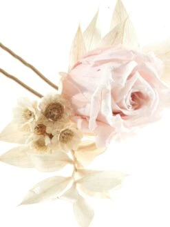 Poirier Haaraccessoire Rose BB-282 -Poirier bb 282 209 bb 282 209 02 2