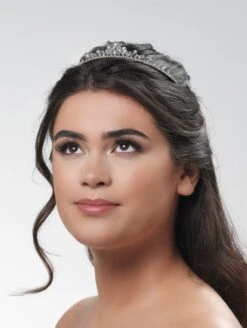 Tiara BB-743 Poirier -Poirier bb 743 nvt bb 743 nvt 01 770x1024 1